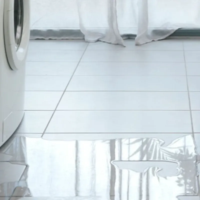 Appliance Leak Cleanup in Chatham, IL