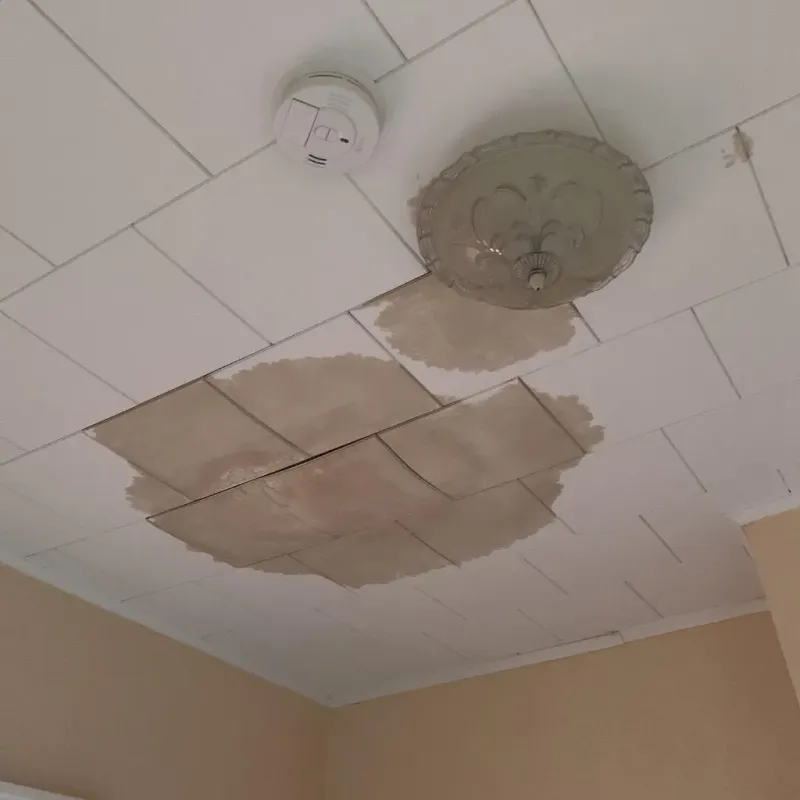 Ceiling Water Damage Repair in Chatham, IL