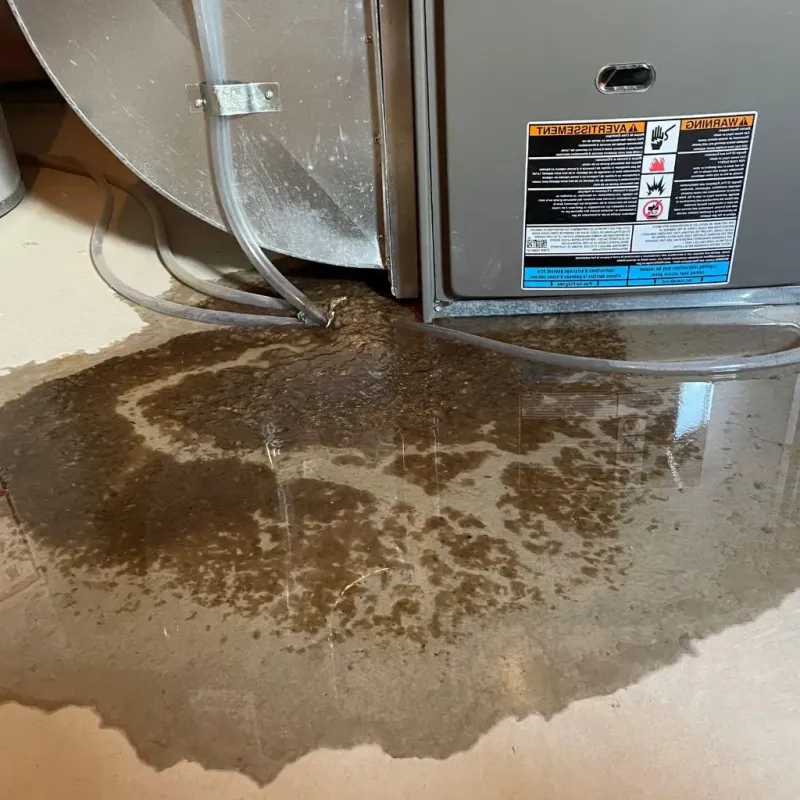 Pipe Burst and Leak Restoration in Chatham, IL