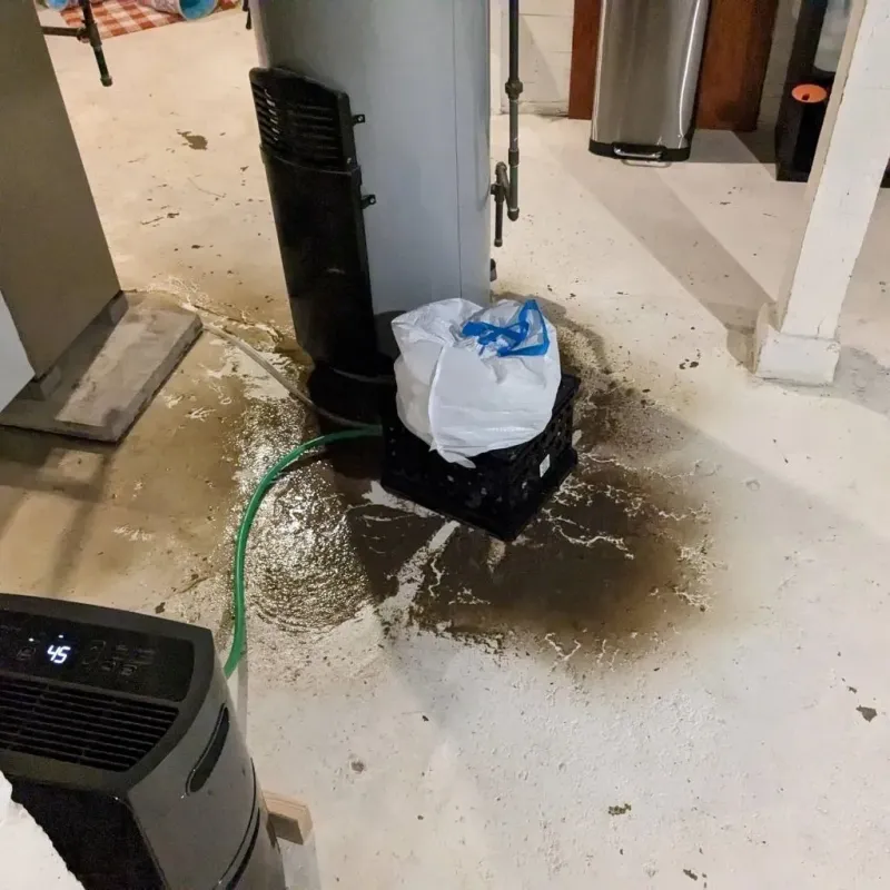 Sewage Backup Cleanup Service in Chatham, IL